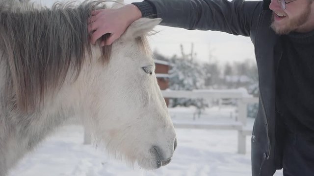 A bearded guy with glasses strokes a beautiful white horse on a country ranch in the winter season. Slow motion.
