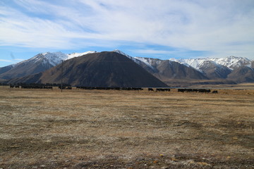 Fototapeta premium Lake and Mountains