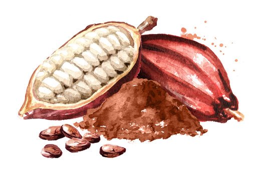 Cocoa Watercolor Images – Browse 26,448 Stock Photos Cocoa Watercolor Images – Browse 26,448 Stock Photos