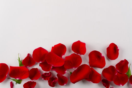 Velvet red rose petals border on white background.Top view. Copy space