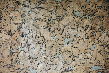 Particle board texture. Wooden background.