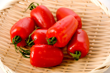 イタリアントマト サンマルツァーノ リゼルバ