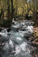 Agios Nikolaos Park Naousa Greece Europe