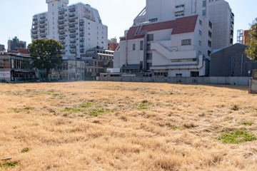 Fototapeta premium 港区南青山 子ども家庭総合支援センター用地