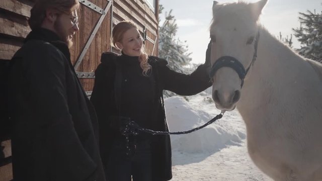 Pretty blond woman and tall bearded man standing with white horse at the snow winter ranch. Girl strokes animal. Happy couple spend time outdoors at farm. Slow motion