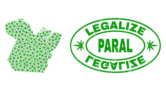 Vector cannabis Paral State map mosaic and grunge textured Legalize stamp seal. Concept with green weed leaves. Concept for cannabis legalize campaign.