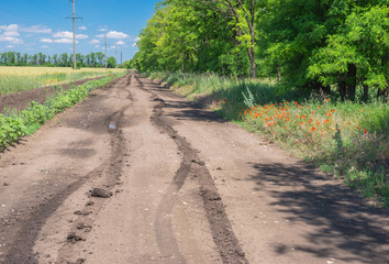 June landscape with an earth road beside wheat agricultural field near Dnipro city, Ukraine
