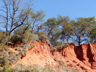 Colorado Provençal