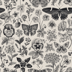 Seamless botanical vintage pattern. Vector illustration. Meadow and garden butterflies and flowers. Black and white © OlgaKorneeva
