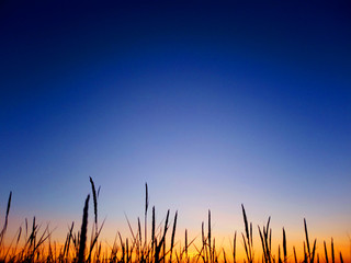 sunset at the beach