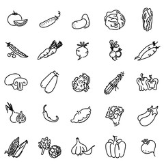 Vector image, set of vegetables, flat linear style.