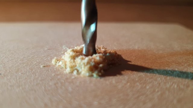 The Drilling a hole in a tree in slow motion close-up. Drilling with a metal drill.