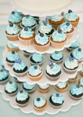 cupcakes on a tray