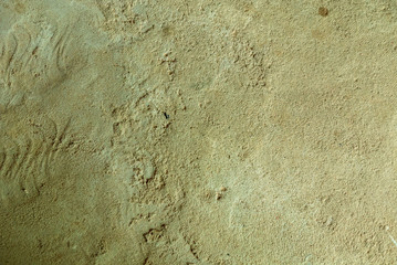 texture of old cement concrete wall
