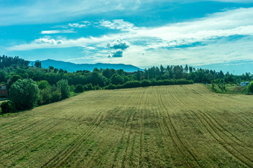 Italy, Rome to Florence train, a close up of a lush green field