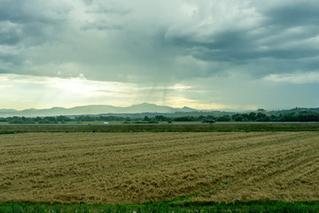 Italy, Rome to Florence train, a field with clouds in the sky