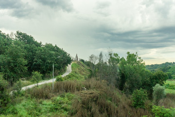 Fototapeta na wymiar Italy, Rome to Florence train, a close up of a hillside next to a tree