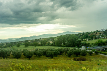 Italy, Rome to Florence train, a large green field with trees in the background