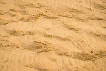 Sand of a beach with patterns
