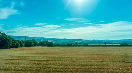 Italy, Rome to Florence train, a large green field with trees in the background