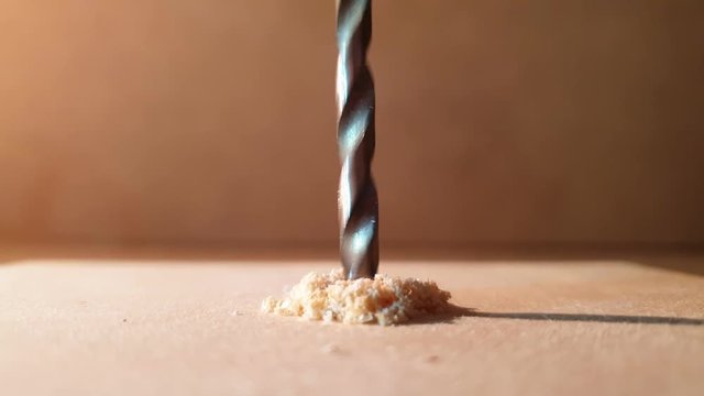 The Drilling a hole in a tree in slow motion close-up. Drilling with a metal drill.