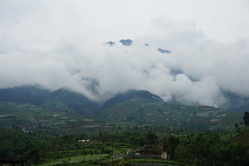 Obraz premium misty mountain scenery
