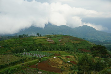 misty mountain scenery