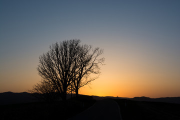 春の夕暮れの空