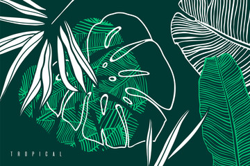 Tropical pattern with palm tree leaf, banana  and monstera leaves. Hand drawn tropic foliage. Exotic green background.