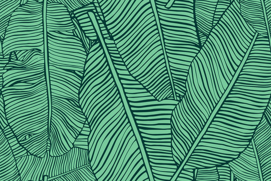 Banana Leaf Texture Images – Browse 73,824 Stock Photos, Vectors, and Video  | Adobe Stock