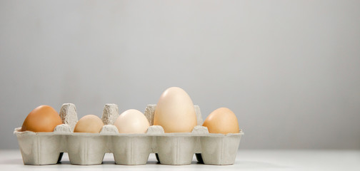 Close-up view of raw chicken eggs in egg box on light background