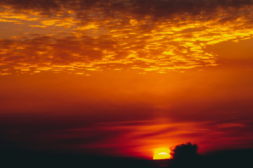 Sunny shine on clouds. Wonderful vivid dawn. Beautiful calm orange sunset. Scenic surreal sunrise. Amazing red cloudy sky. Picturesque sundown. Atmospheric cloudscape. Circle of sun above horizon.