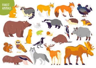 Vector collection of forest animals and birds: bear, fox, hare, owl isolated on white background. Flat hand drawn style. Good for children book illustration, alphabet, woodland banner, zoo emblem etc.