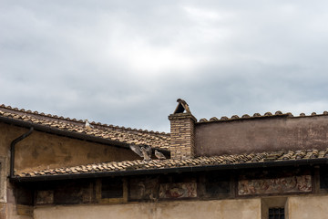 Birds on a sloping roof
