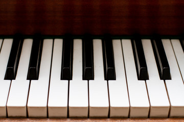 The keys of the grand piano