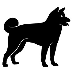 Akita dog. Silhouette