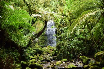 waterfall in deep tropical forest
