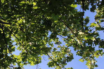 Sky photo Czech Republic, Europe
