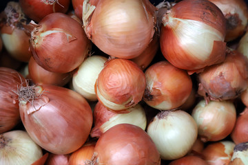 traditional vegetable fruit market.artvin turkey