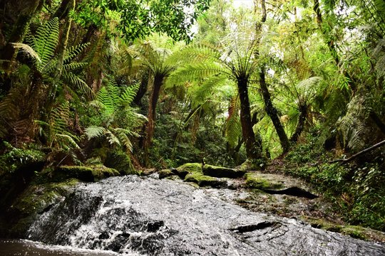 Waterfall in Brasilian rainforest