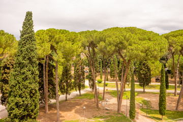 Fototapeta na wymiar Italy, Rome, Castel Sant Angelo, Mausoleum of Hadrian, a tree in a garden