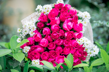 The view of the pink rose bouquet close-up,arranged on wooden table,be used to display,to various festivals(Valentine,wedding,New Year's party,birthday party)or to decorate in Restaurant,coffee shop