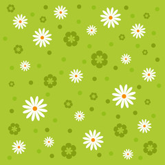 seamless spring pattern with daisy flowers