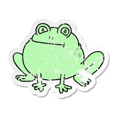 distressed sticker of a quirky hand drawn cartoon frog