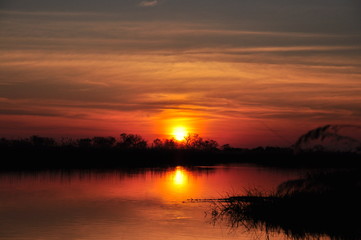 Naklejka na ściany i meble sundown in Botswana
