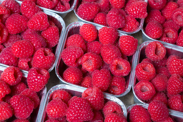 Beautiful raspberries