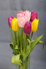 Bouquet of tulips of different colors on a gray background.