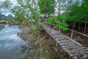 The background of the jetty, the waterfront village community and the wooden bridge overlooking the mangrove forest, is the beauty of nature, seen during travel.