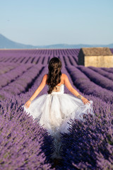 Fototapeta premium Model in wedding dress in lavender, Valensole in France