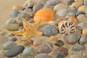 Fototapeta na wymiar Starfish, seashells and pebbles close-up